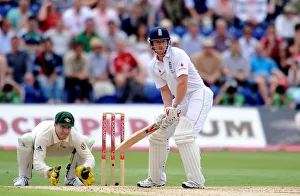 Brad Haddin & Paul Collingwood