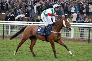 Brave Spirit