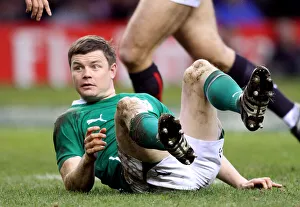 Odriscoll Prints: Brian O Driscoll Falls Over Concussed