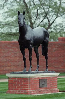 Statue Prints: Brigader Gerard Statue