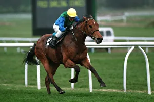 Fred Prints: Bulaxie Wins 94 Fred Darling