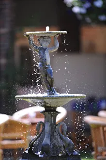 Cafe Pagola Water Display