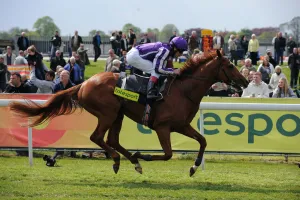 Cape Blanco Ridden By Johnny Murtagh Wins Ahead Of Workforce