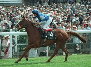 Eddery Prints: Cayman
