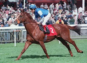 Eddery Prints: Cayman Kai