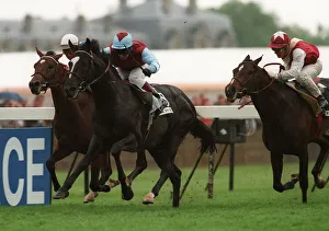Darley Prints: Celtic Swing (K. Darley) Wins
