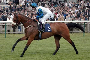 Guineas Prints: Chantress