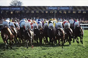 Cheltenham Gv Chase