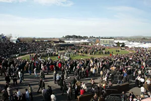 Cheltenham Racecourse