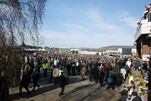 Cheltenham Racecourse