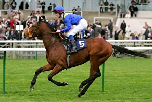Newmarket Prints: Chief Editor