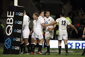 Celebrates Prints: Chris Robshaw Celebrates After Beating Zew Zealand