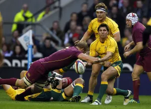 Chris Robshaw & Nick Phipps