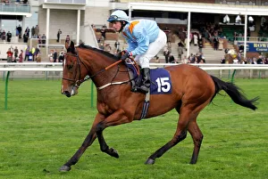 Newmarket Prints: Collateral Damage