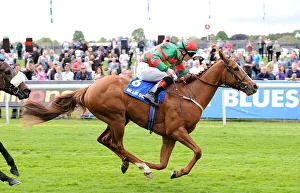 Dante Prints: Common Touch Ridden By Frederik Tylicki Wins