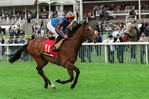 Duffield Prints: Compatriot