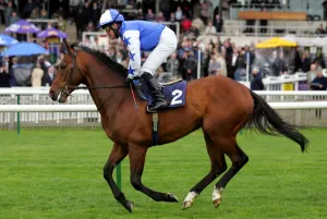 Newmarket Prints: Cougar Press