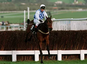 Racehorse Prints: Its A Cracker