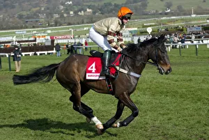 Crazy Horse