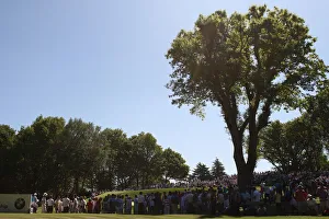 Surrey Prints: Crowd Surround 2nd Green