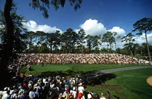 Crowds Around Tiger Woods On