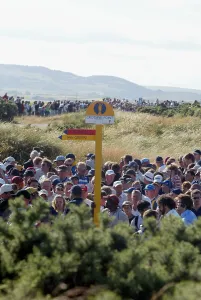 Crowds Prints: Crowds Use Crossing Point