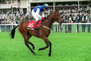 Blue Prints: Cumbrian Blue