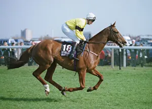 Racehorse Prints: Dakyns Boy