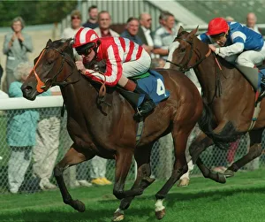 Stks Prints: Dancing Drop (R. Hughes)