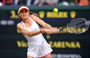 Tennis Prints: Daniela Hantuchova