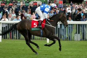 Darley Prints: Darasim