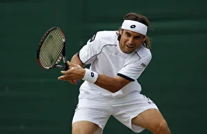 Ferrer Prints: David Ferrer