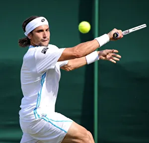 David Ferrer