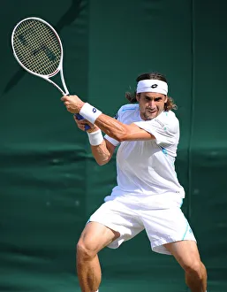 David Ferrer