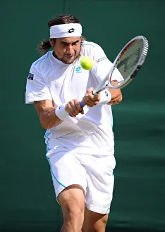 David Ferrer