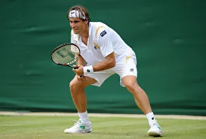 David Ferrer
