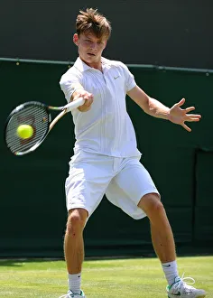 David Goffin