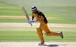 David Hussey