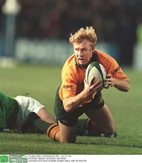 Knox Prints: David Knox