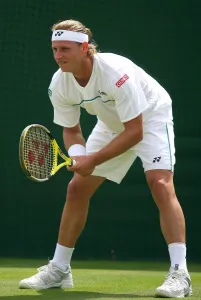 David Nalbandian