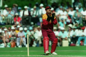 Wicket Keeping Prints: David Ripley