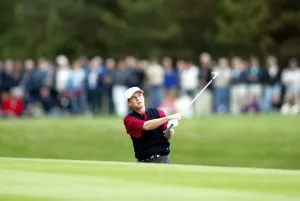 David Toms