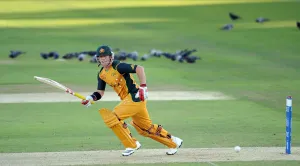 Warner Prints: David Warner