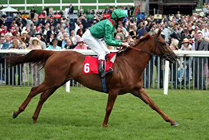 Dettori Prints: Dawana