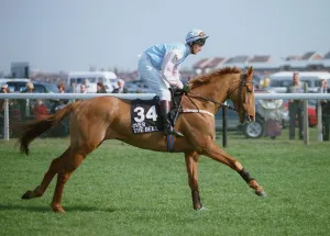 Racehorse Prints: Over The Deel
