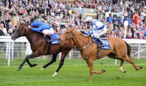 Delegator Wins Ahead Of Regal Parade Ridden By Frankie Detto Delegator Wins Ahead Of Regal Parade Ridden By Frankie Detto