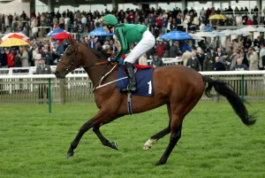 Guineas Prints: Dellsarte