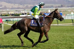 Walsh Prints: Denman