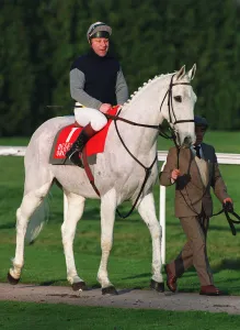 Brown Prints: Desert Orchid