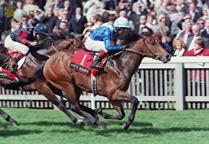 Kinane Prints: Desert Story Wins Craven Stake